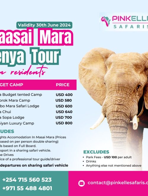 Masai Mara Kenya Tours
