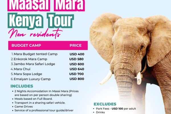 Masai Mara Kenya Tours