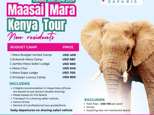 Masai Mara Kenya Tours
