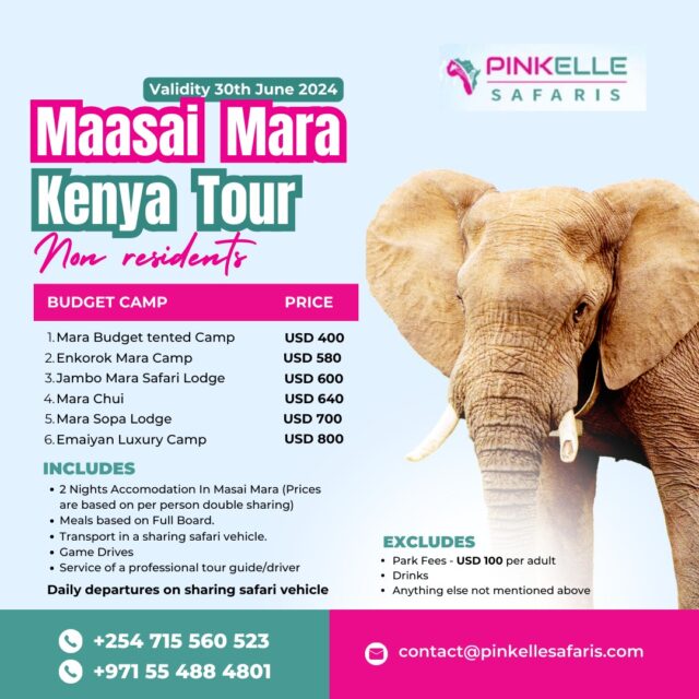 Masai Mara Kenya Tours